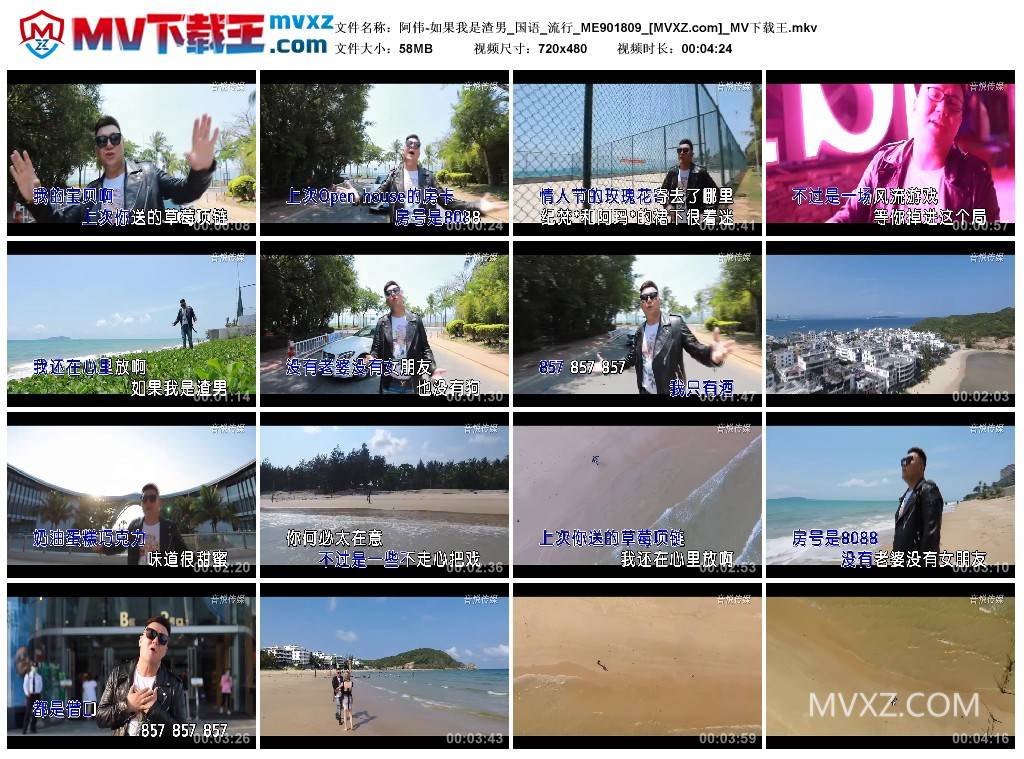 阿伟-如果我是渣男_国语_流行_ME901809